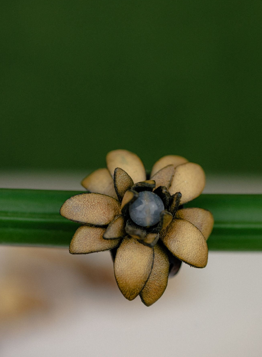 Succulent Leather Ring — Olive & Pearl