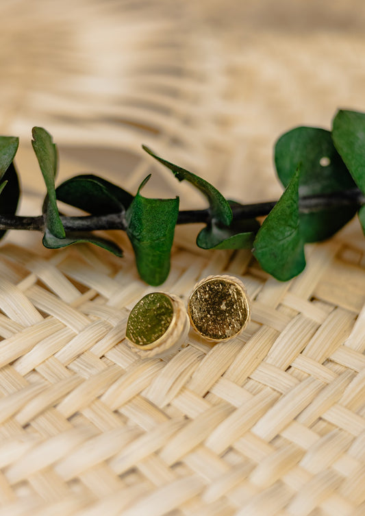 Buriti Palm Circle Stud Earrings – Gold